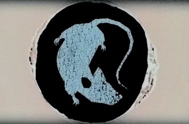 'Rats On Road' – Offcuts from 'City of Rats'