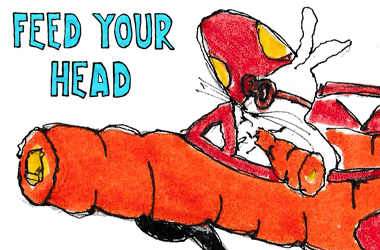 Feed Your Head: Skateboarding and Nutrition by Josh Sutton – Slam City Skates