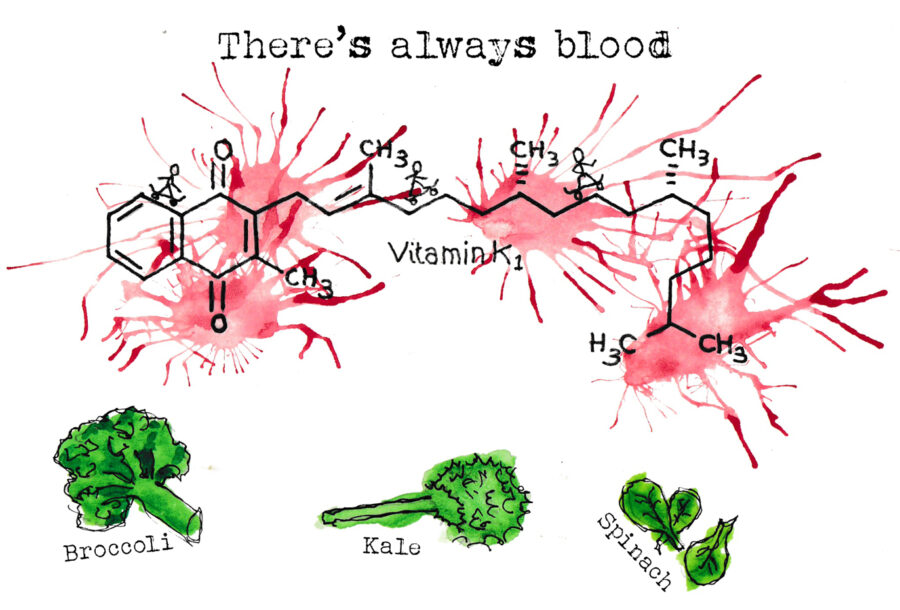 Broccoli, kale and spinach illustrated by Josh Sutton for his Feed Your Head: Skateboarding and nutrition article – Slam City Skates