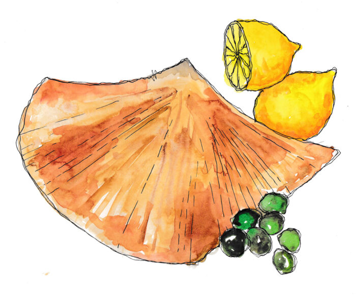 Skate wings, lemons and peas, illustrated by Josh Sutton for his Feed Your Head: Skateboarding and nutrition article – Slam City Skates