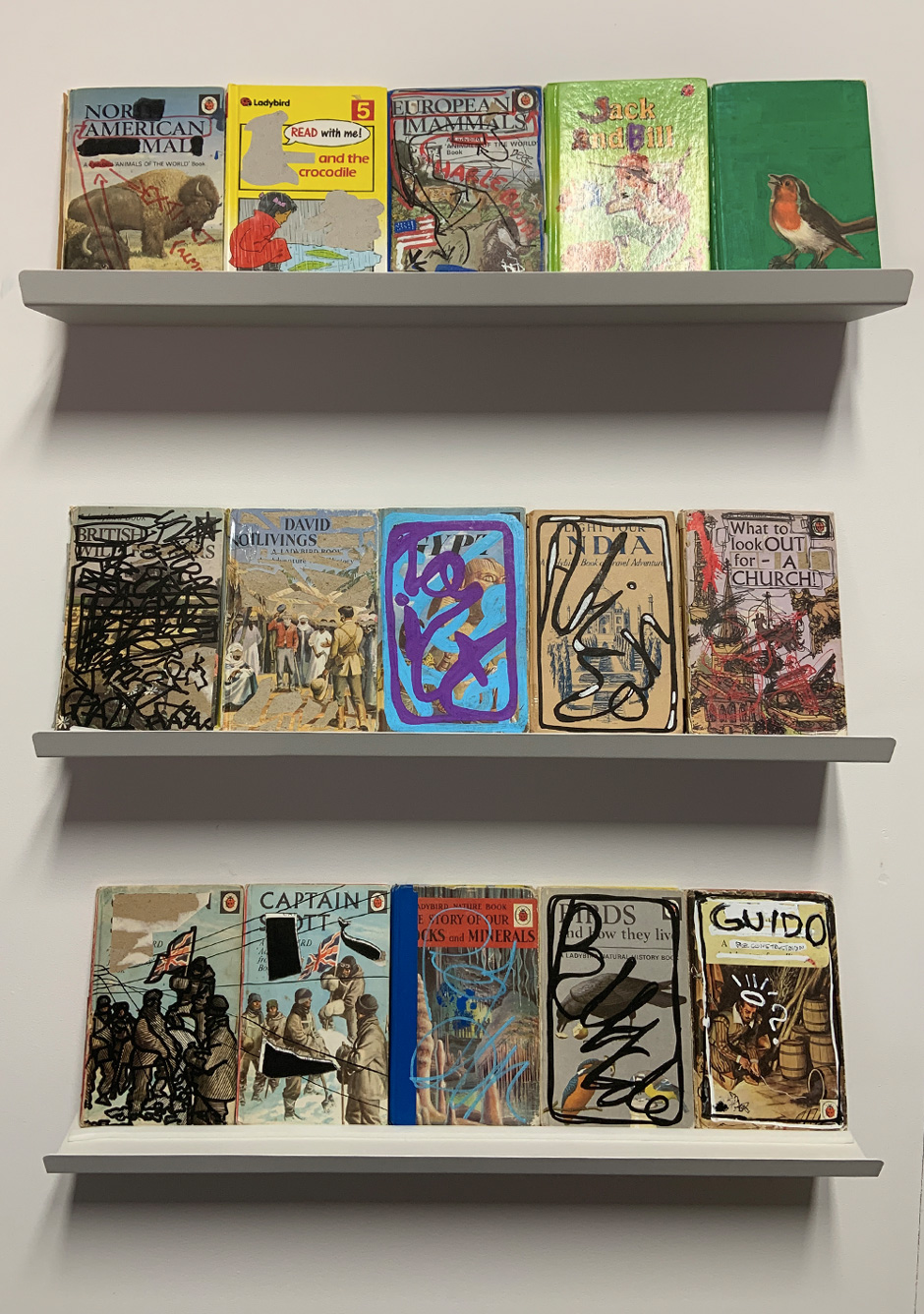 Some of Tygar Smith's reconstructed Ladybird books on bookshelves