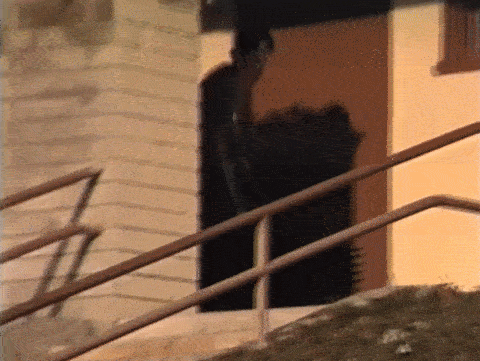 Patt Duffy's 50-50 in the Plan B 'Questionable' video, a trick which changed the course of skateboarding