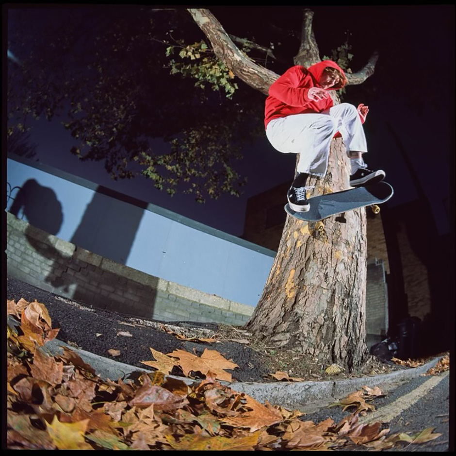 Sirus F Gahan wallies out of a tree for Felix Adler's lens