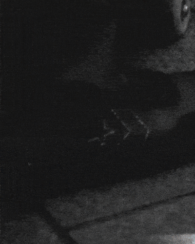 Sage Elsesser filmed these tricks at Southbank with Rich Smith