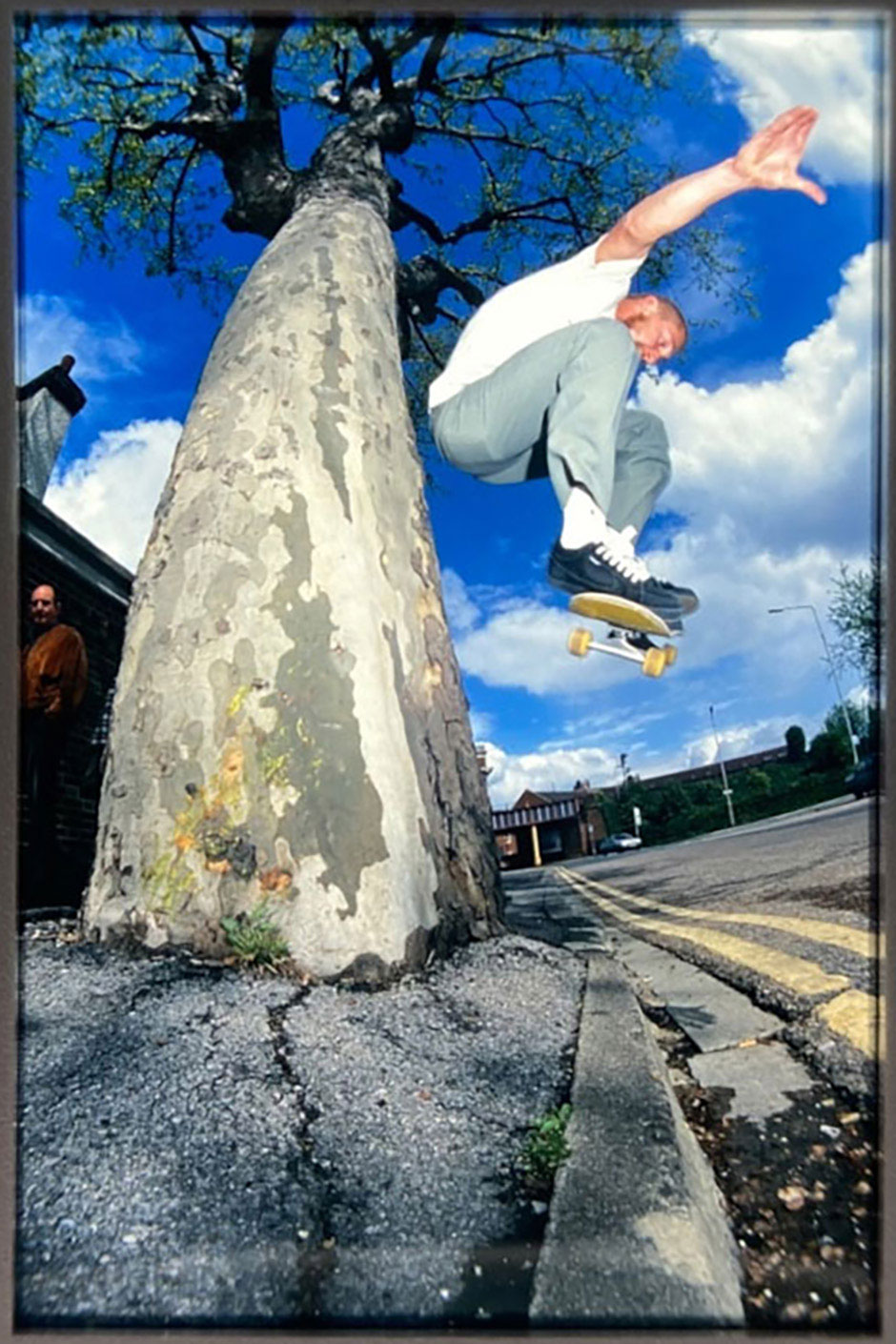 Wallie out of a Southsea tree for a Sidewalk HAUNTS article shot by Wig Worland